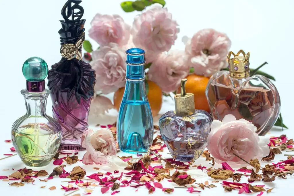 Best Skincare, Hair Care & Makeup